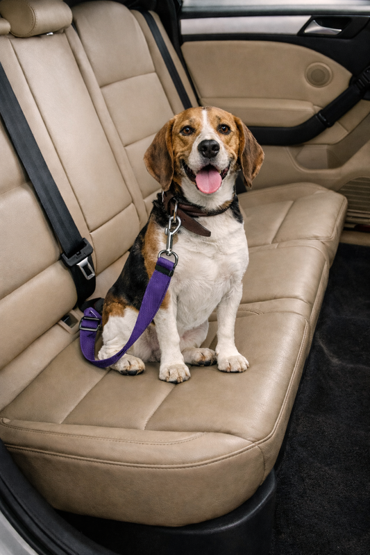SafePaws™ Verstelbare Autogordel voor Honden