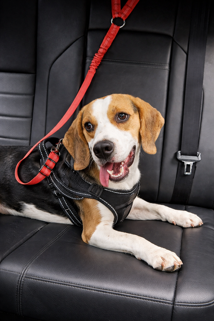 SafePaws™ Verstelbare Autogordel voor Honden